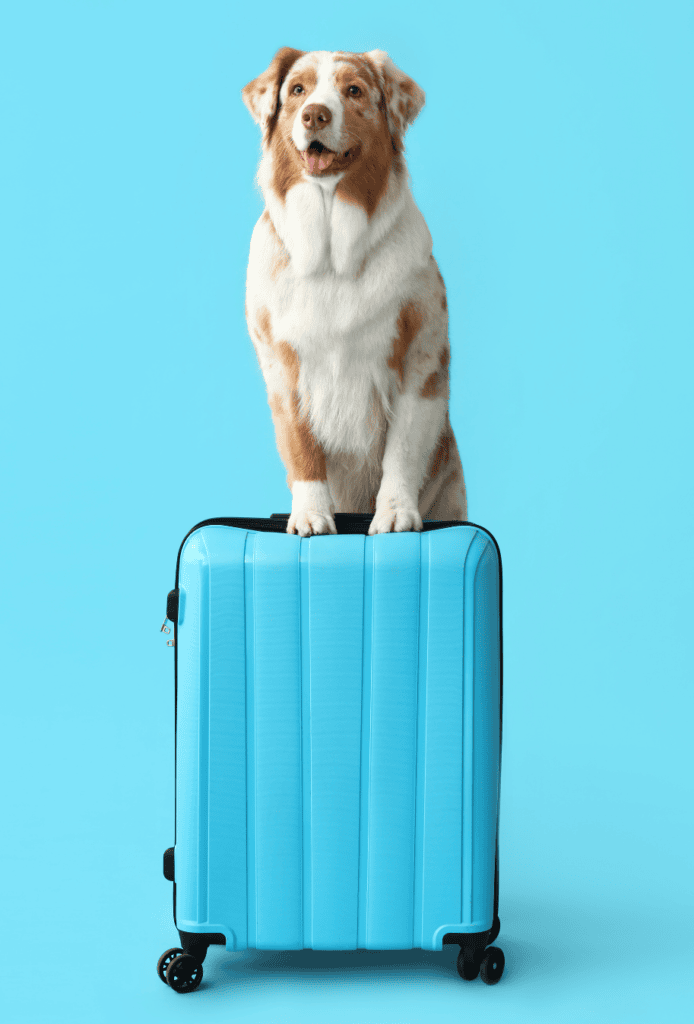 Beautiful modern home exterior with lush garden and stone pathway.