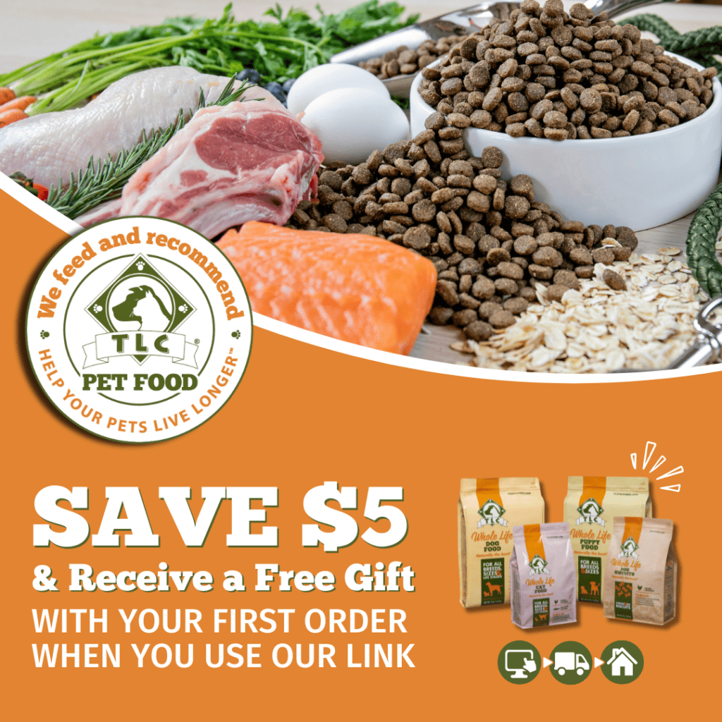 Fresh dog food with meat, vegetables, and kibble for healthy pets.