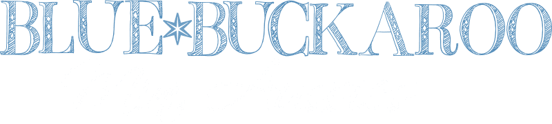 Logo of BBA organization featuring a blue and black design.