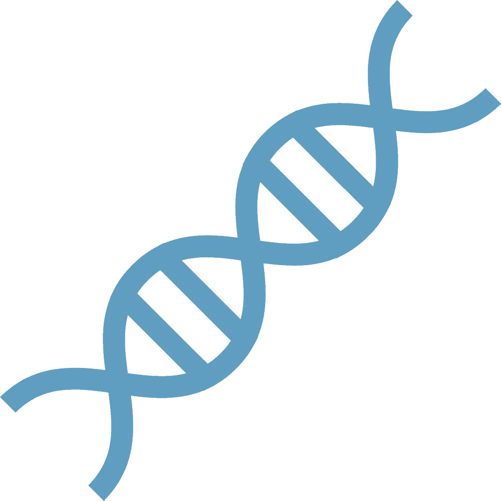 DNA double helix structure for genetic research.