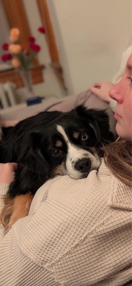 Dog resting on owner's shoulder during a heartfelt moment.