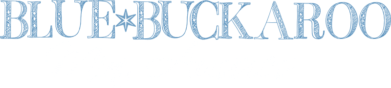 Beautiful homepage hero image showcasing welcoming design and vibrant colors.